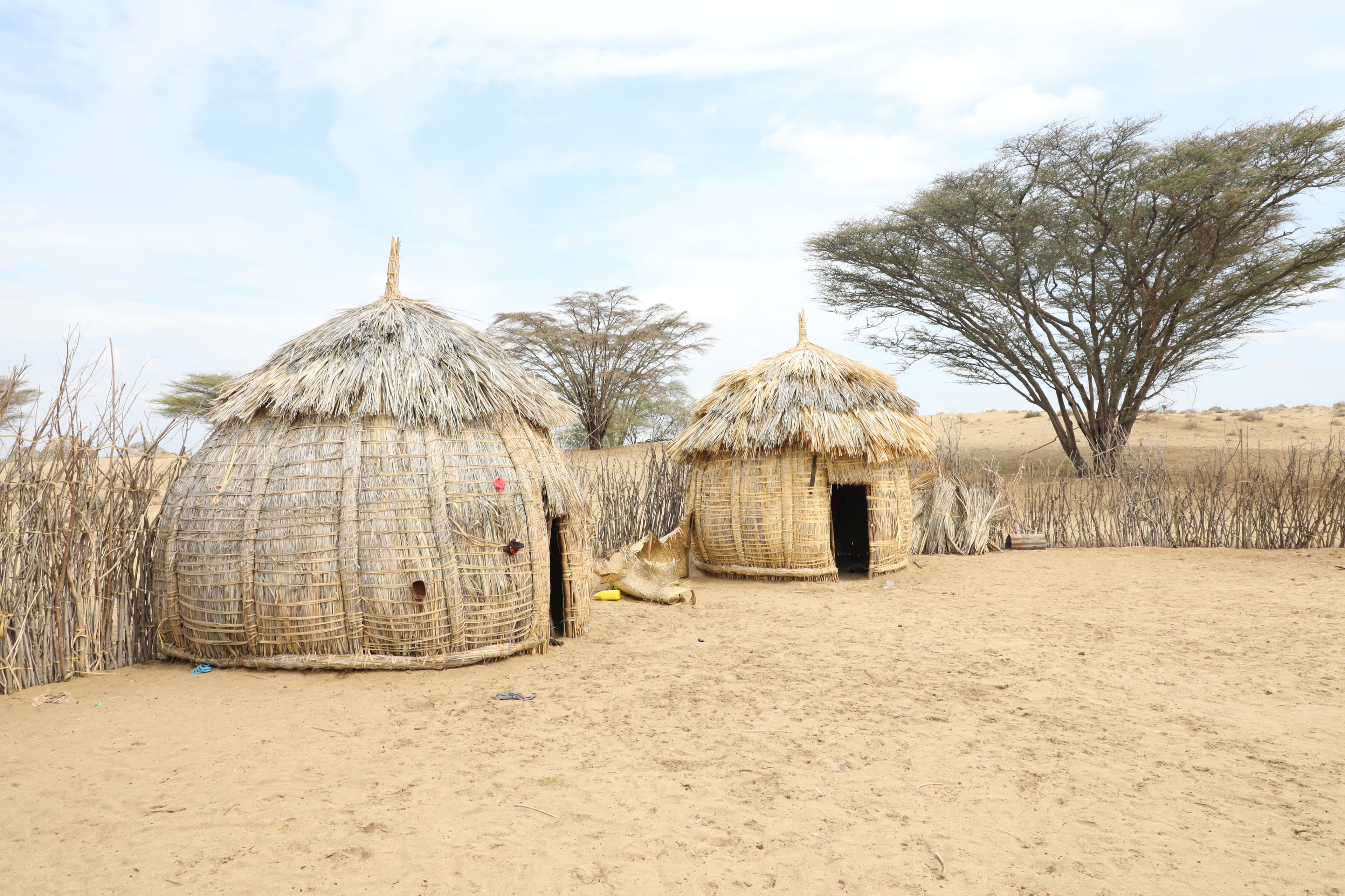 Integrated development solutions across thematic areas